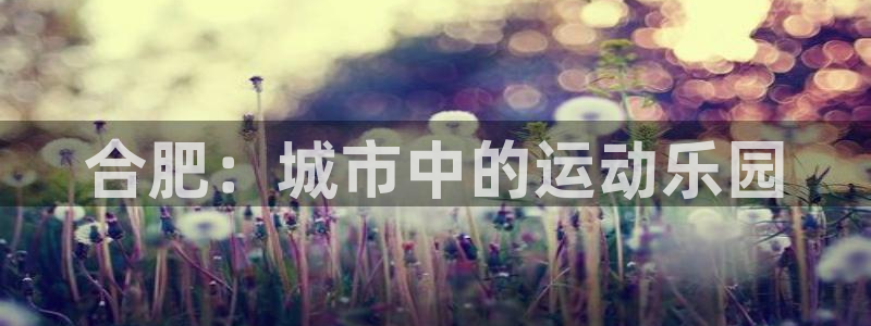 雷鸟体育：合肥：城市中的运动乐园