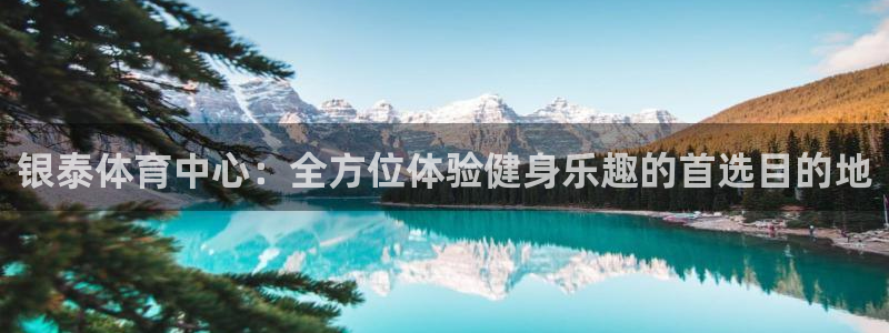 雷鸟体育苹果怎么下载：银泰体育中心：全方位体验健身乐趣的首选目的地