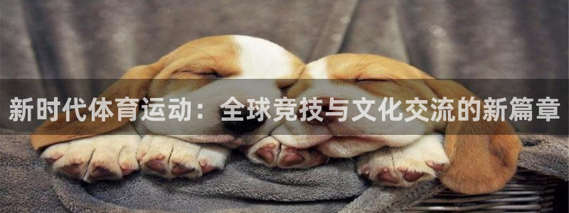 雷鸟体育正版下载