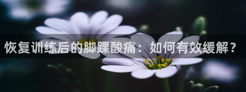 雷鸟体育免费直播软件下载