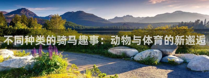 雷鸟体育免费直播软件下载：不同种类的骑马趣事：动物与体育的新邂逅