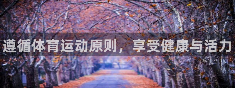 雷鸟体育免费直播软件下载：遵循体育运动原则，享受健康与活力