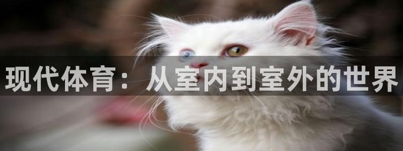 雷鸟体育苹果怎么下载：现代体育：从室内到室外的世界