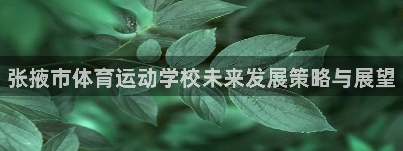 雷鸟体育APP下