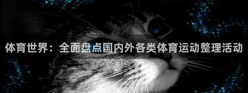 雷鸟体育正版下载官网