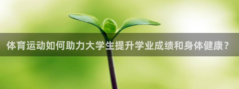 雷鸟体育正版下载官网