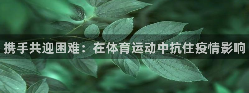 雷鸟体育官网入口
