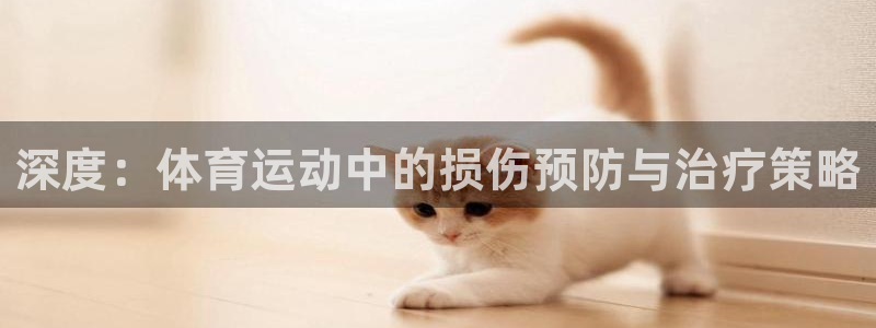 雷鸟体育