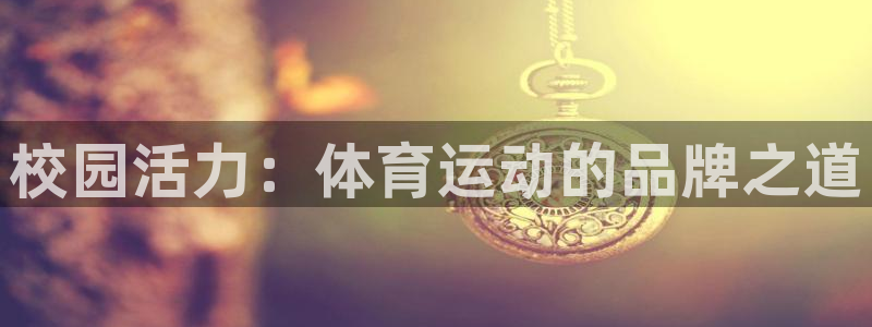 雷鸟体育免费下载：校园活力：体育运动的品牌之道