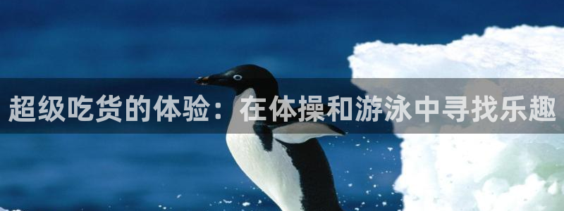 雷鸟体育正版下载