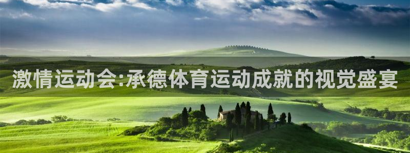雷鸟体育官网入口