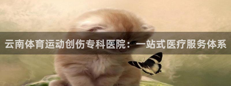 雷鸟体育APP下