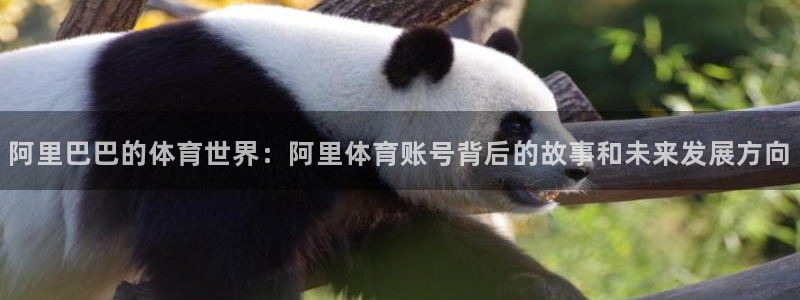 雷鸟体育苹果版下载：阿里巴巴的体育世界：阿里体育账号背后的故事和未来发展方向
